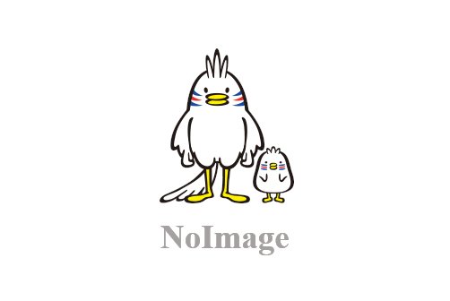 第9回 プラニツァ音頭も高らかに スキーのコラム J Sportsコラム ニュース