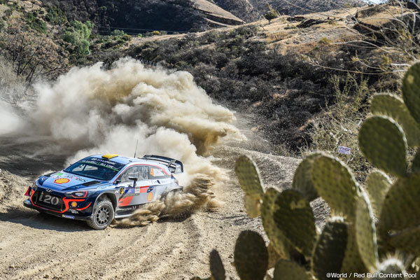 2019年WRC第3戦メキシコ “開幕3つ目の特殊ラリーはグラベル”