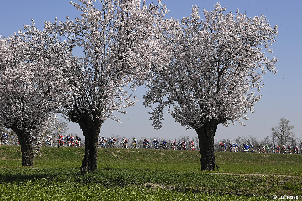 欧州に春を告げるロードレース、ミラノ〜サンレモ