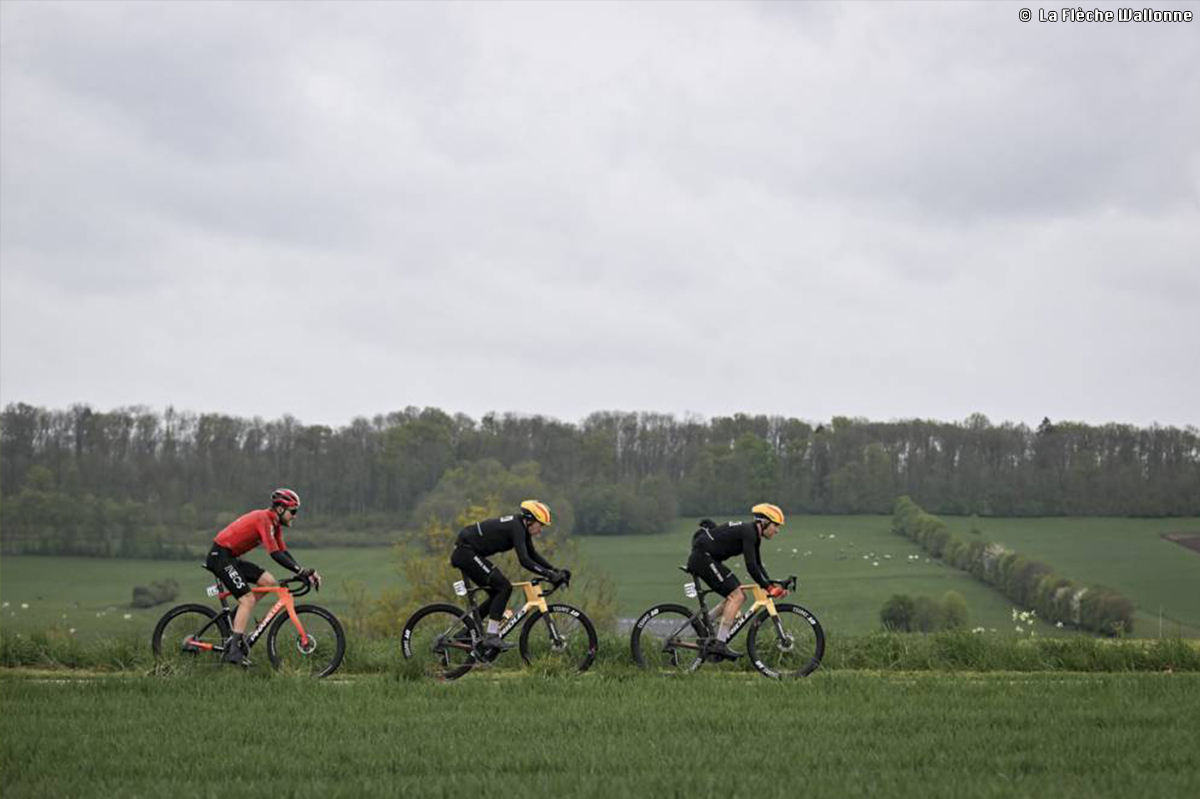 ラ・フレーシュ・ワロンヌ