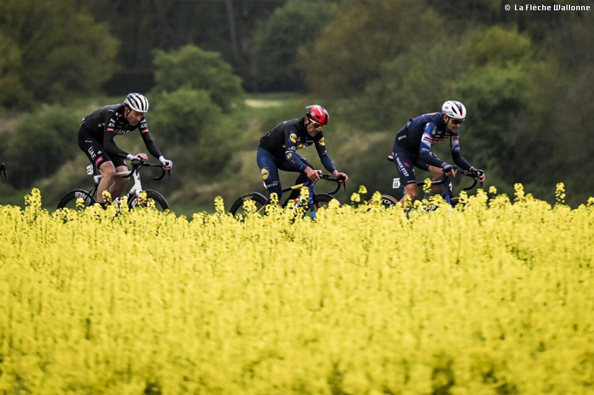 ラ・フレーシュ・ワロンヌ