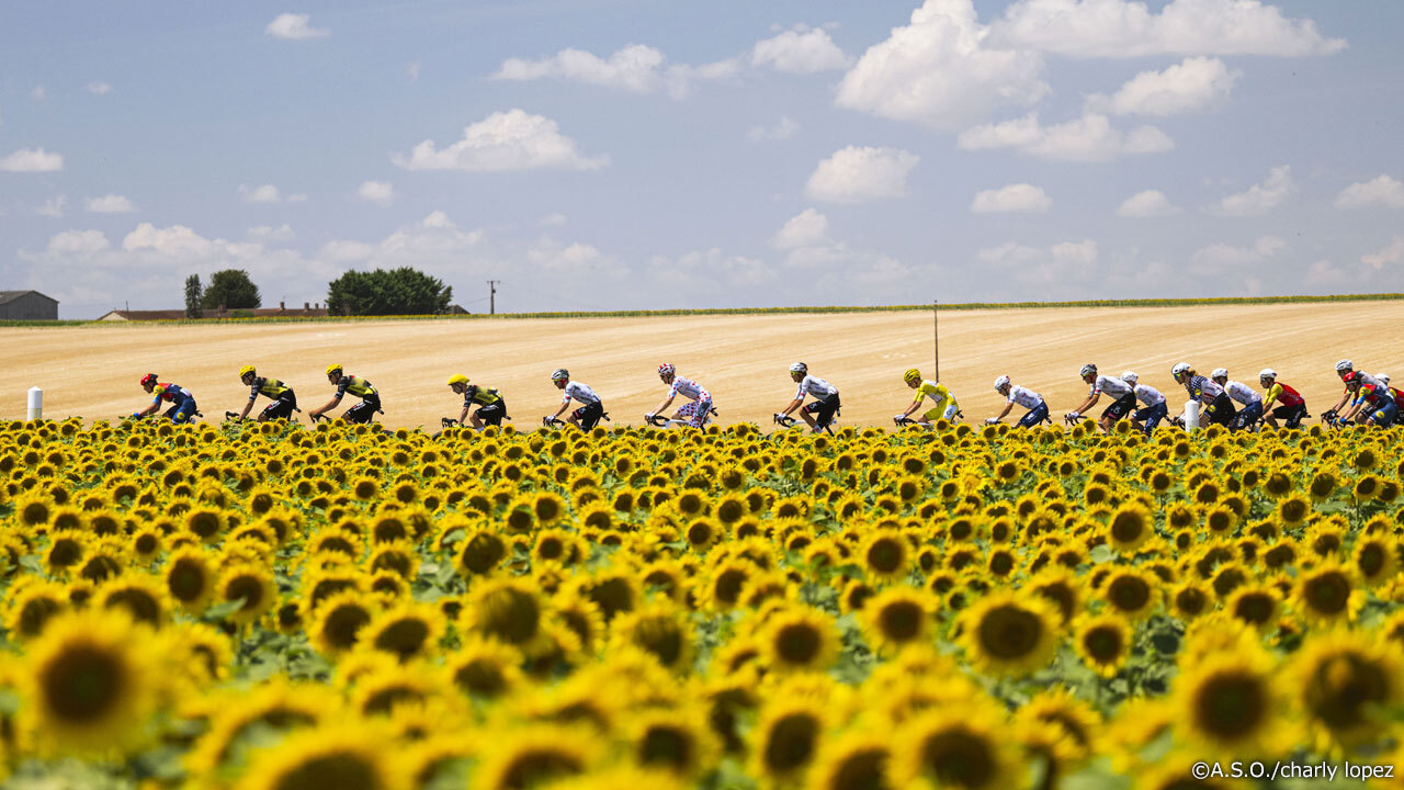 第9ステージはシノンからシャトールーまでのコースで行われ、唯一の山岳ポイントがないステージ