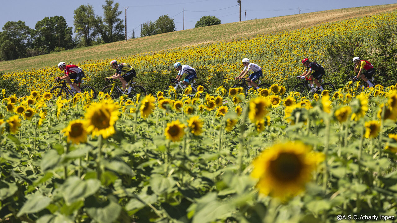 今年のツールも週末の2ステージを残すのみとなった