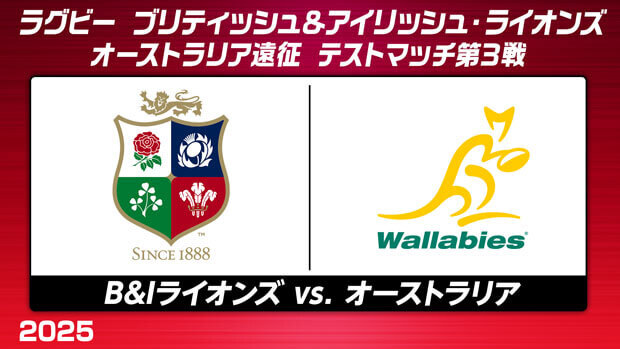 ブリティッシュ＆アイリッシュ・ライオンズ、ワラビーズとの最終