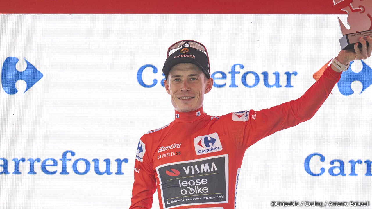 マイヨ・ロホを取り戻し笑顔を見せるヴィンゲゴー