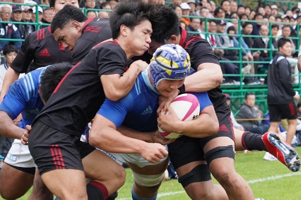 日本大学 ラグビージャージ - ウェア