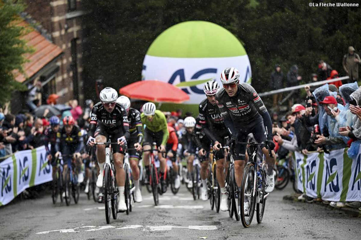 ラ・フレーシュ・ワロンヌ