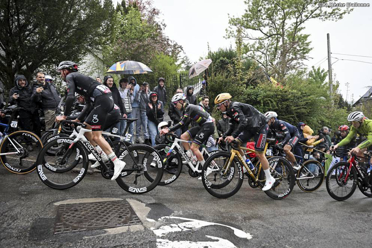 ラ・フレーシュ・ワロンヌ