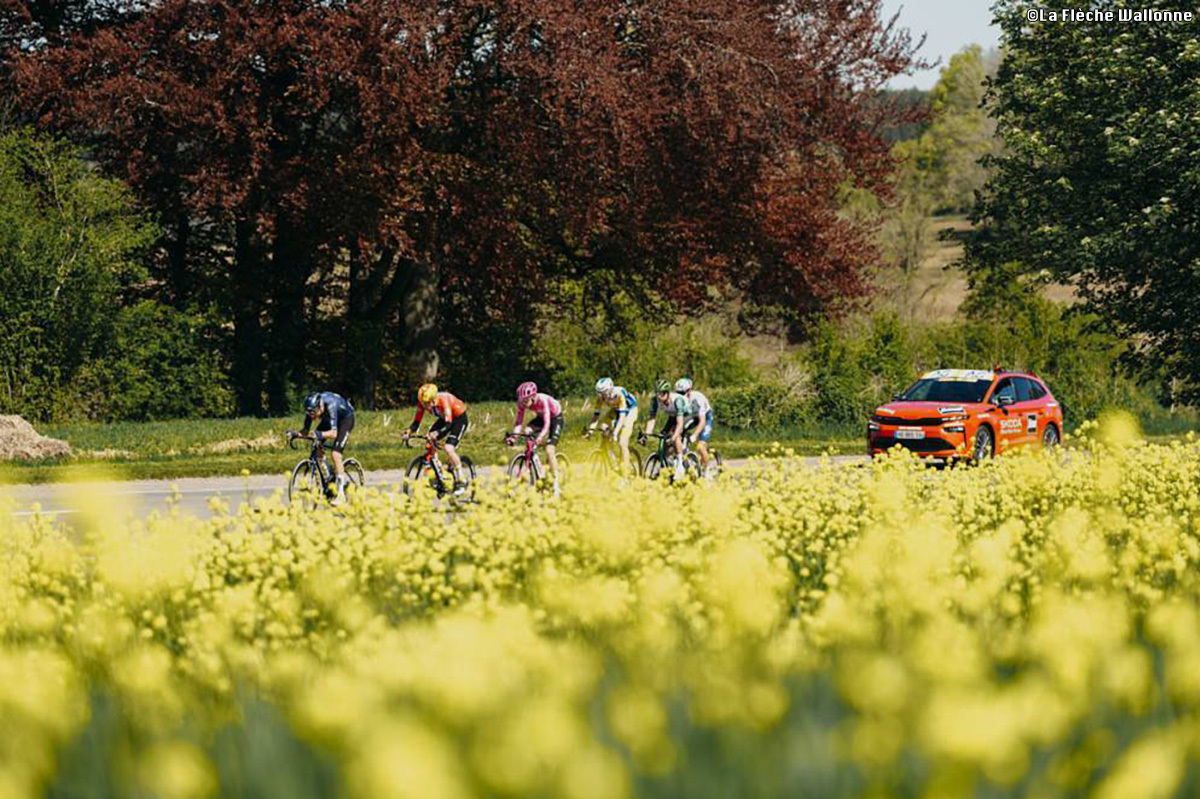 ラ・フレーシュ・ワロンヌ