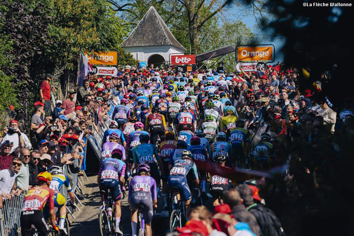 ラ・フレーシュ・ワロンヌ